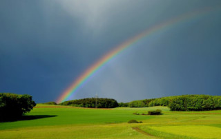 regenbogen